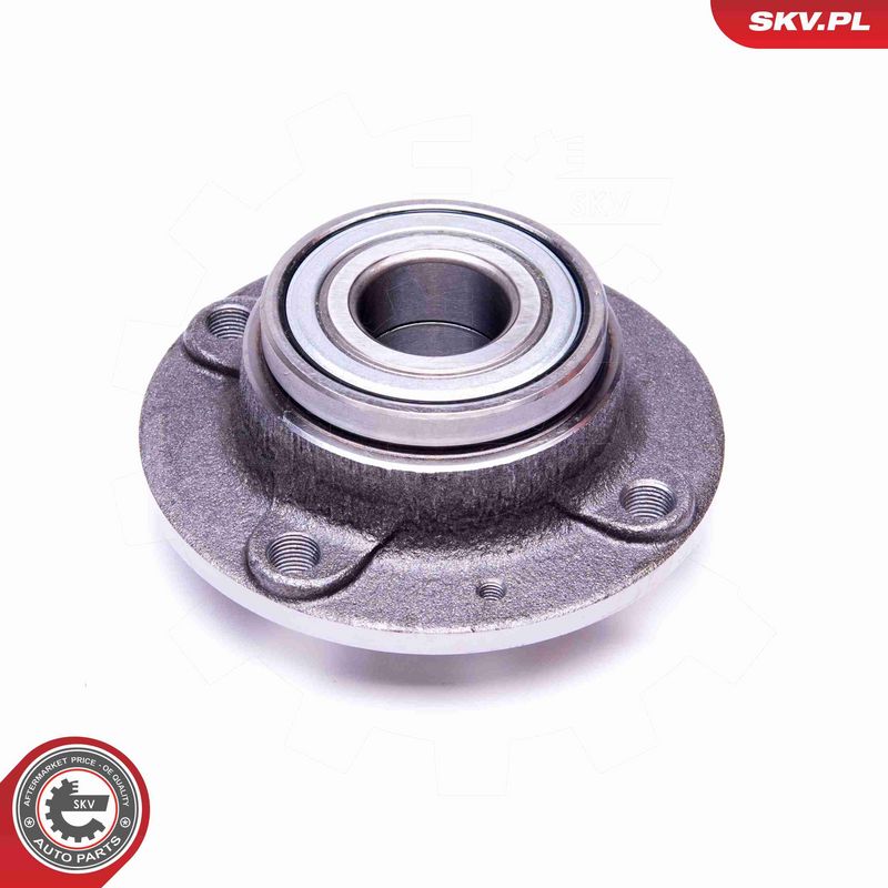 ESEN SKV 29SKV394 Wheel Bearing Kit