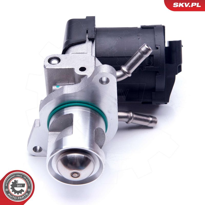 EGR-klapp, ESEN SKV 14SKV169