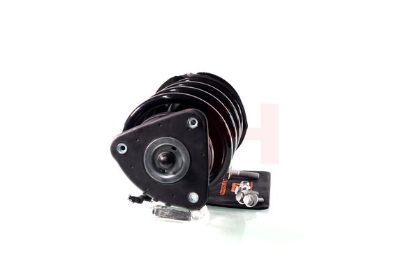 Vedruamort, GH GH-352539C02