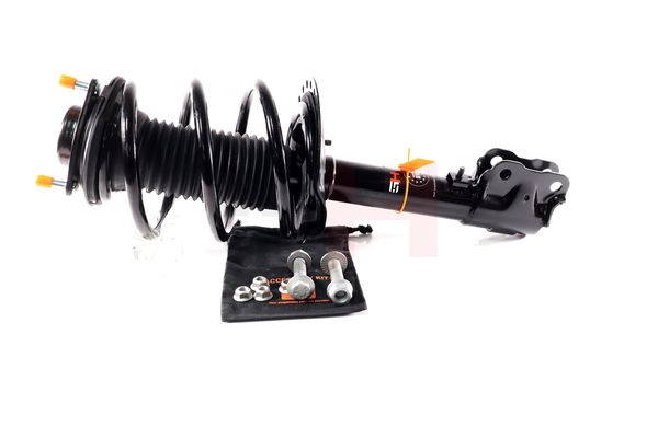 Vedruamort, GH GH-353057C01