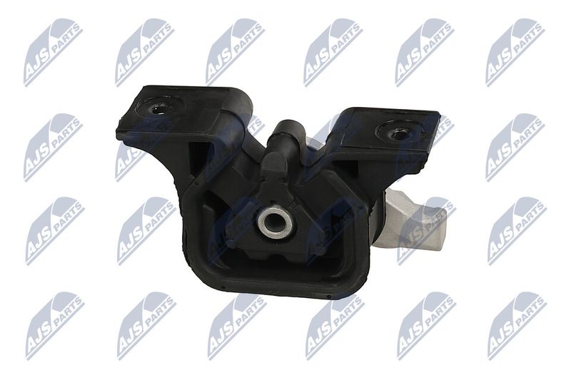 Paigutus, Mootor, NTY ZPS-PL-055