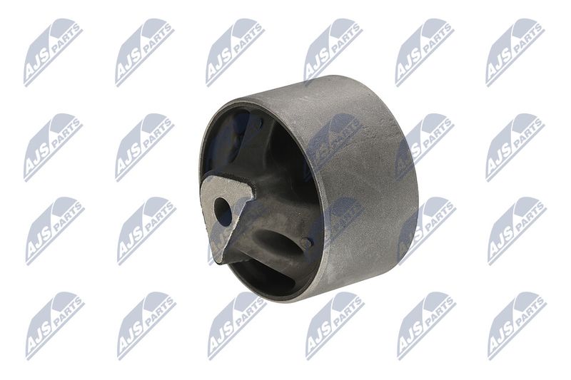 Paigutus, Mootor, NTY ZPS-CH-040