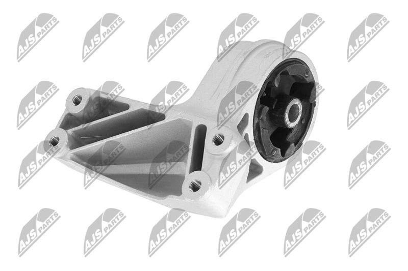 Paigutus, Mootor, NTY ZPS-CH-148