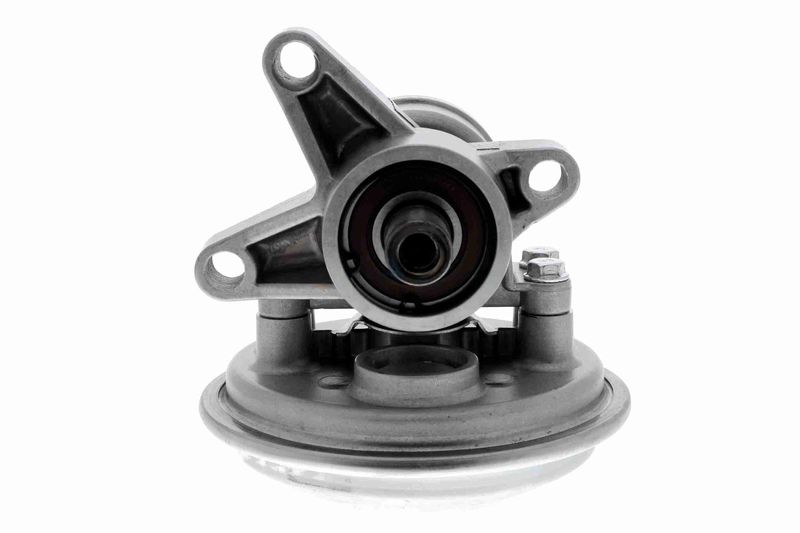VAICO V25-1908 Mounting, engine
