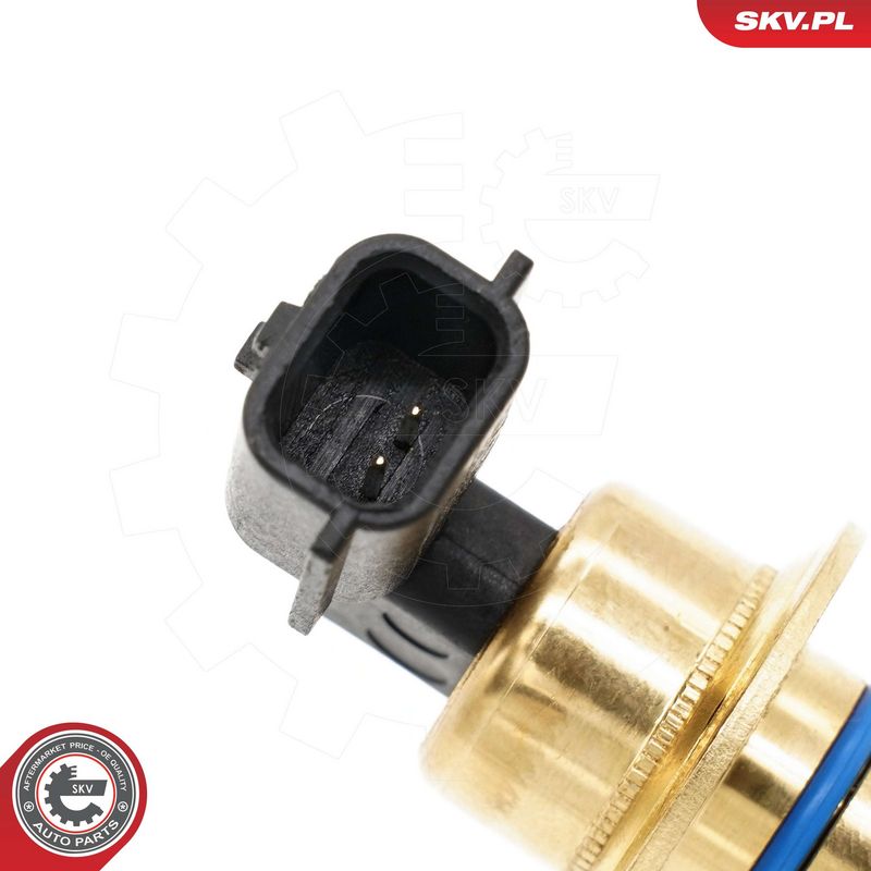 Andur, Mootoriõlitase, ESEN SKV 17SKV944