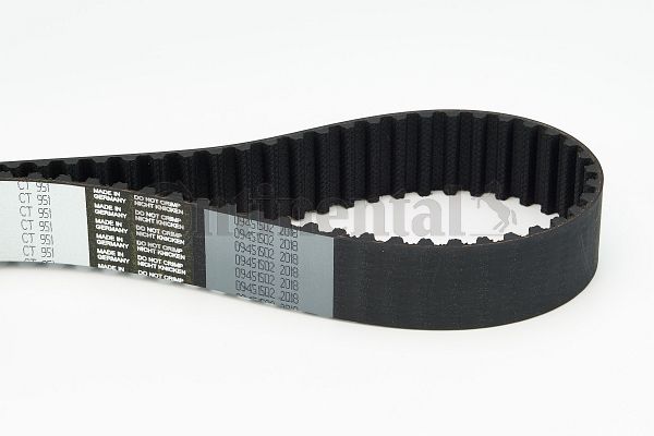 BELTPIC_CT951.JPG
