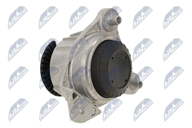 Paigutus, Mootor, NTY ZPS-ME-065