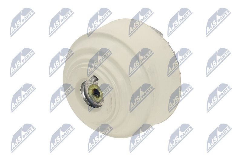 Paigutus, Mootor, NTY ZPS-ME-102