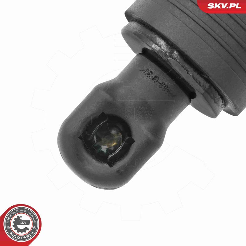 ESEN SKV 52SKV237 Electric Motor, tailgate