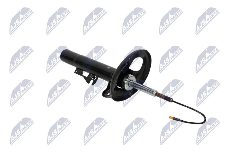 Amort, NTY A-PS-012