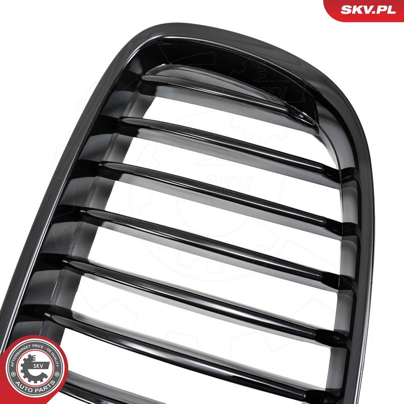 Radiaatorivõre, ESEN SKV 66SKV176