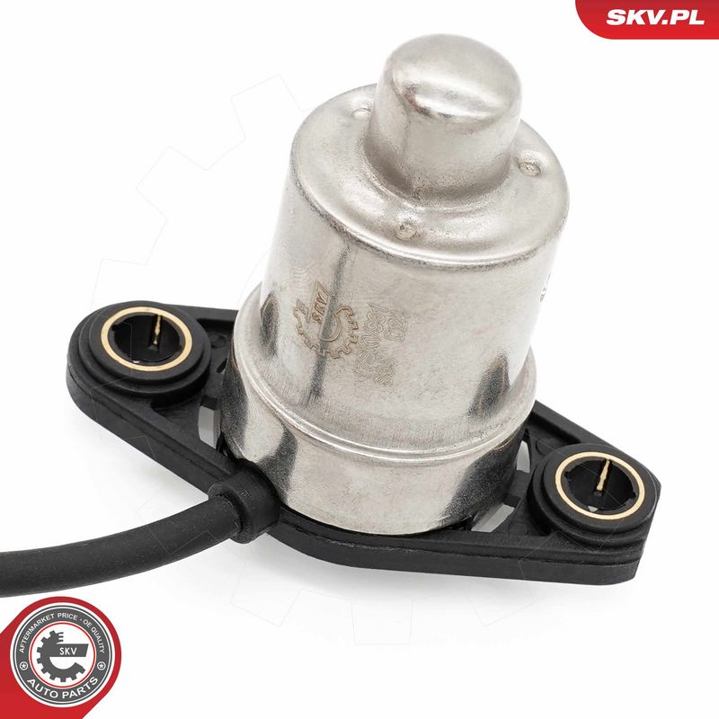 Andur, Mootoriõlitase, ESEN SKV 17SKV931