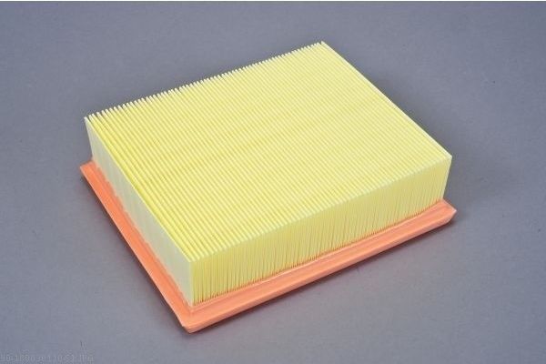 AUTOMEGA 180030110 Air Filter