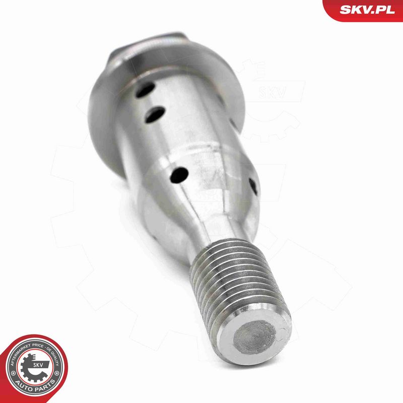ESEN SKV 39SKV070 Control Valve, camshaft adjustment