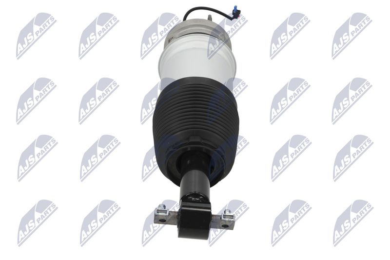 Amort, NTY A-CH-098