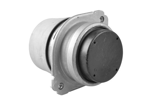 TEDGUM TED25233 Mounting, engine