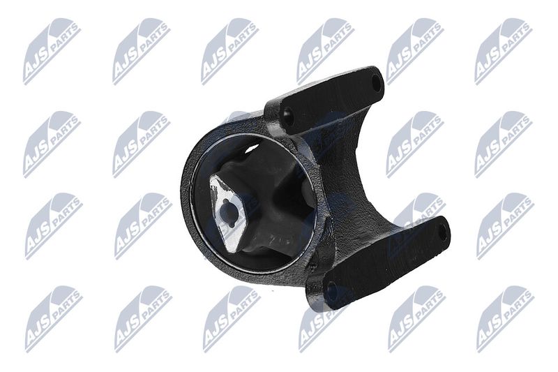 Paigutus, Mootor, NTY ZPS-CH-008