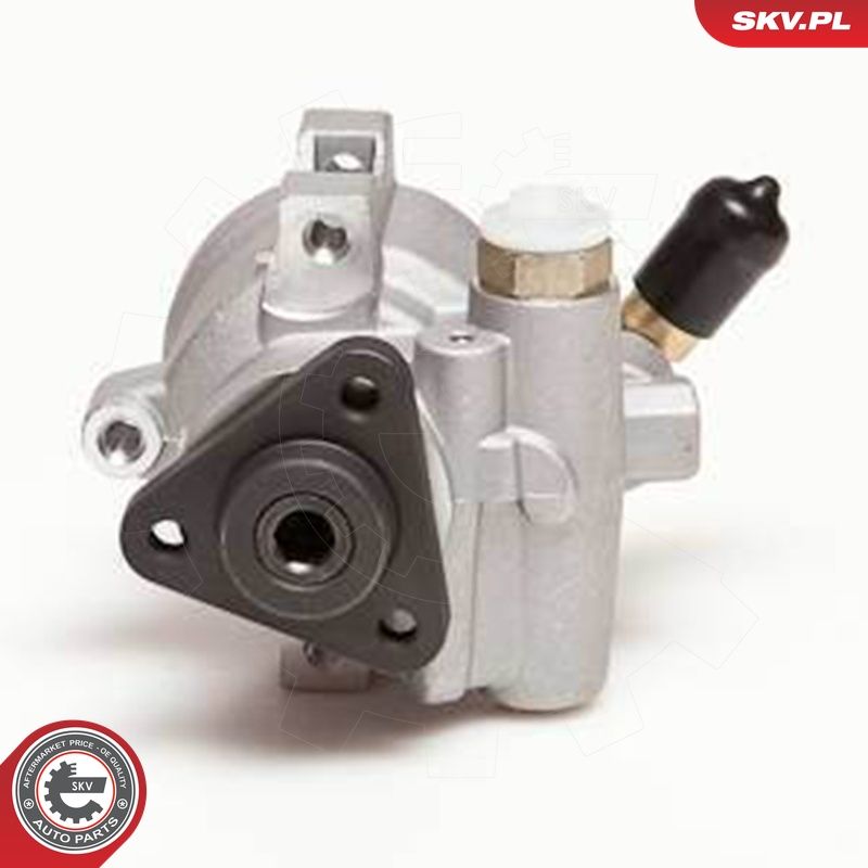 Hüdraulikapump, roolimine, ESEN SKV 10SKV055