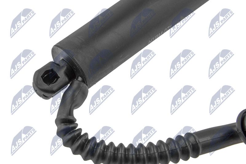 NTY AE-BM-071 Gas Spring, boot/cargo area
