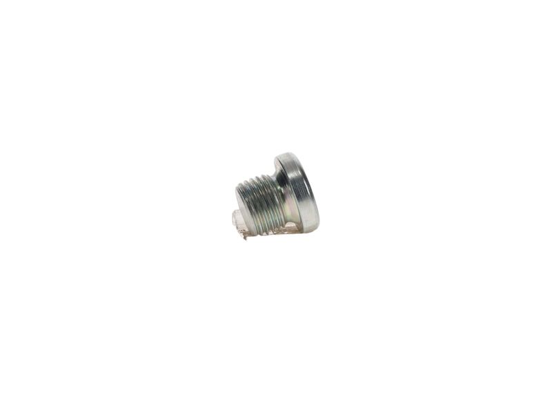 Surub 2 911 278 750 BOSCH