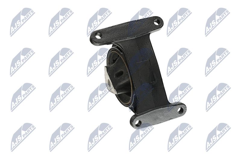 Paigutus, Mootor, NTY ZPS-CH-006