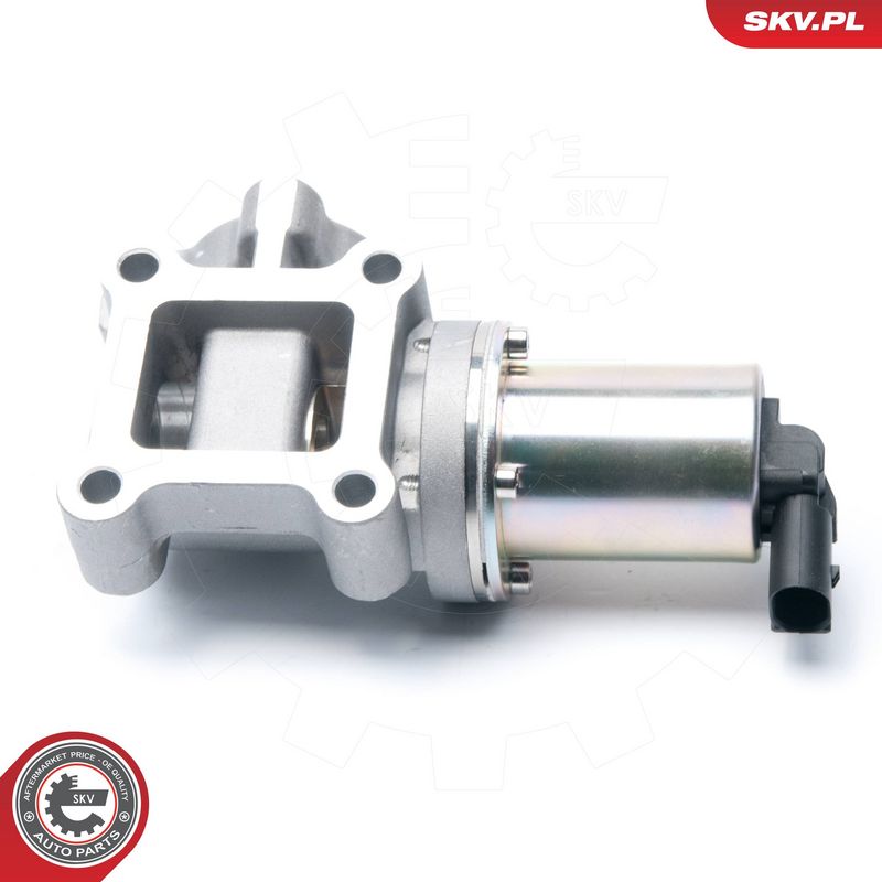 EGR-klapp, ESEN SKV 14SKV099