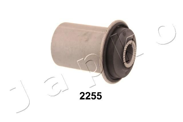 GOJ2255_1.JPG