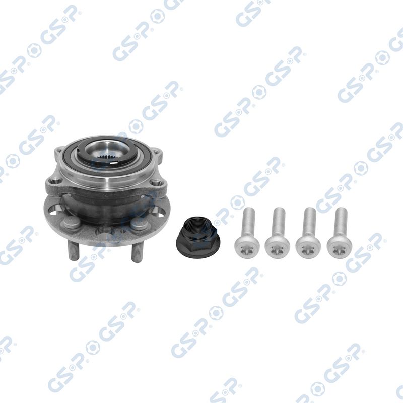 SET RULMENT ROATA GSP 93C0017K