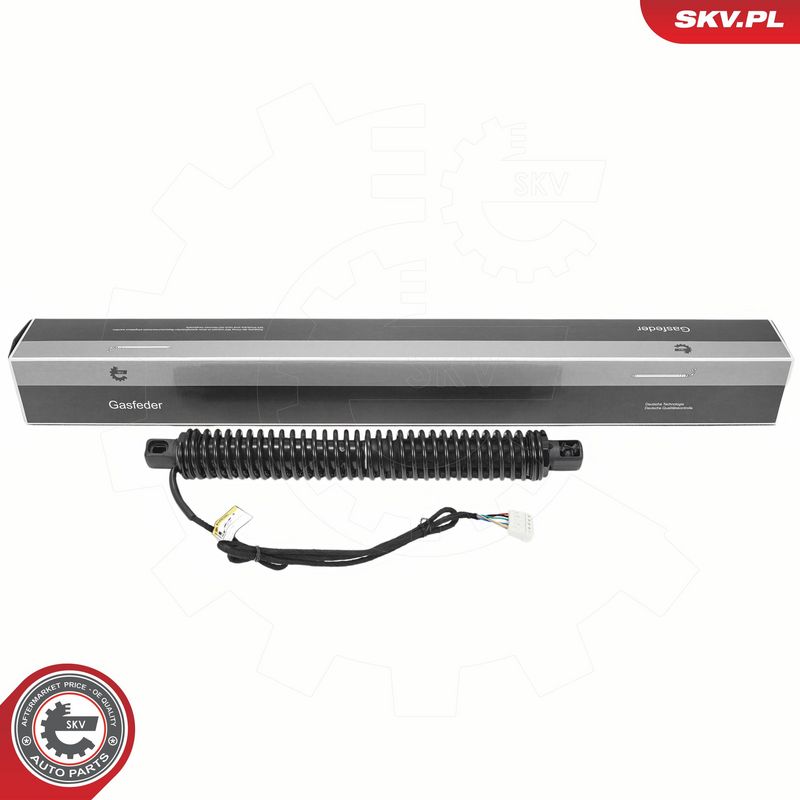 Elektrimootor, tagaluuk, ESEN SKV 52SKV987