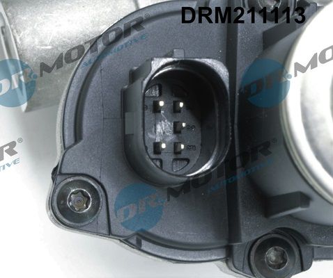 Dr.Motor Automotive DRM211113 EGR Valve