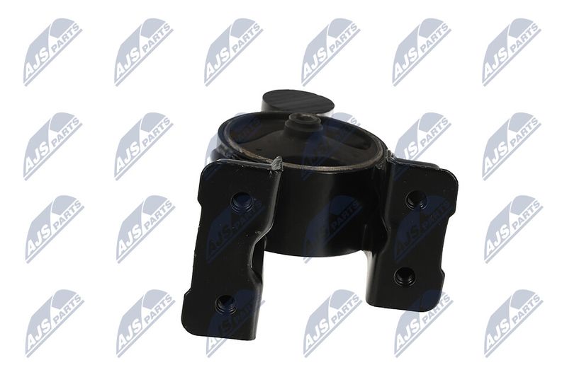 Paigutus, Mootor, NTY ZPS-HY-556