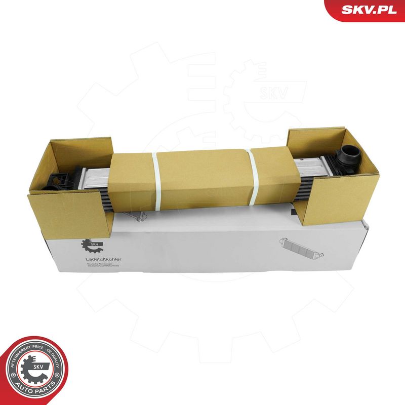 OEM код товара: 144961285R