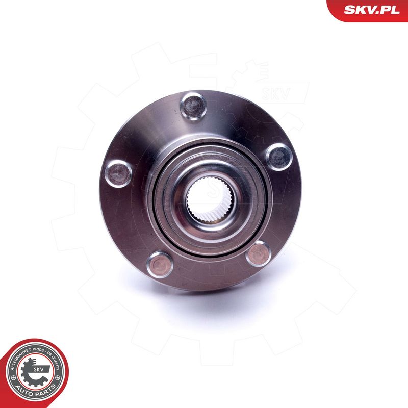 Rattalaagrikomplekt, ESEN SKV 29SKV499