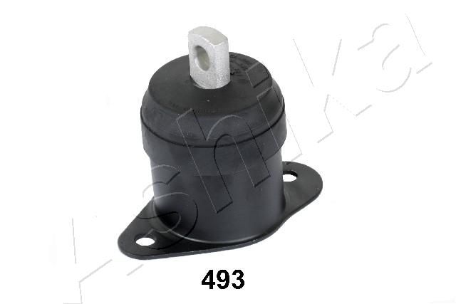 GOM-493_1.JPG