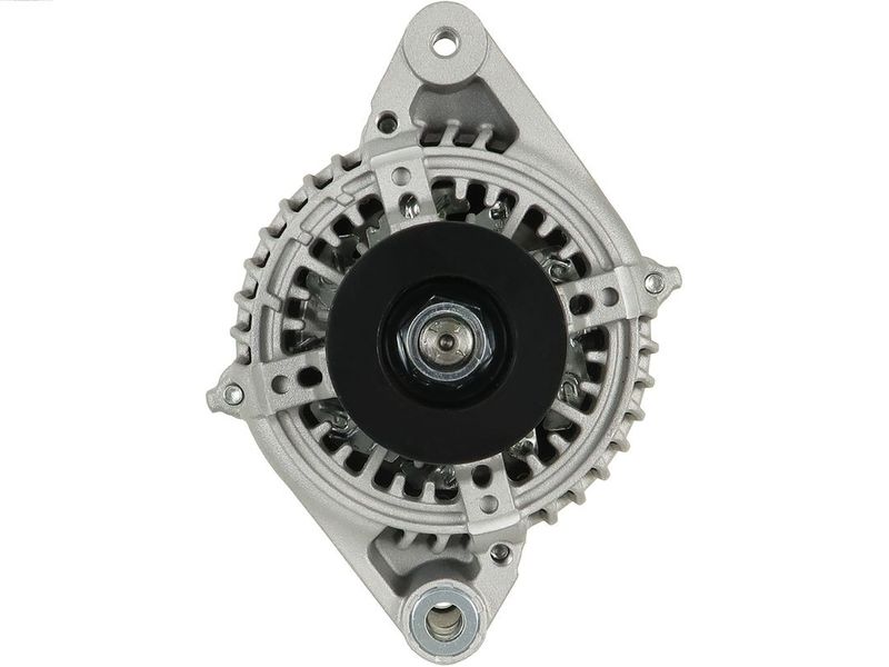 384041.JPG