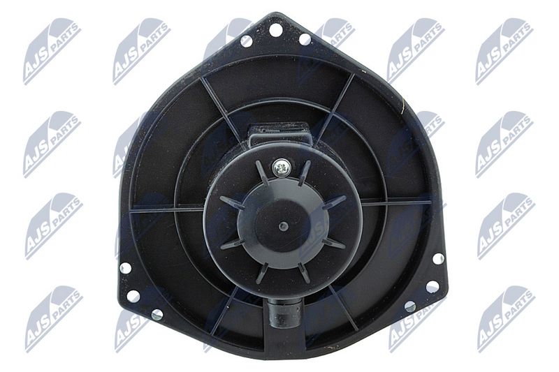 Salongipuhur, NTY EWN-DW-001