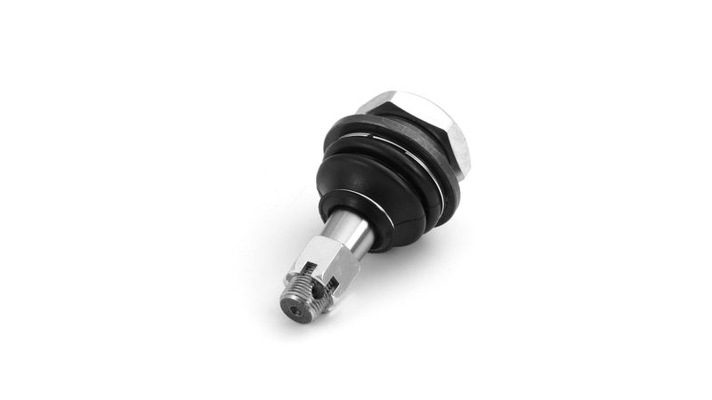 SKF VKDS 812008 Šarnyras / girgždukas