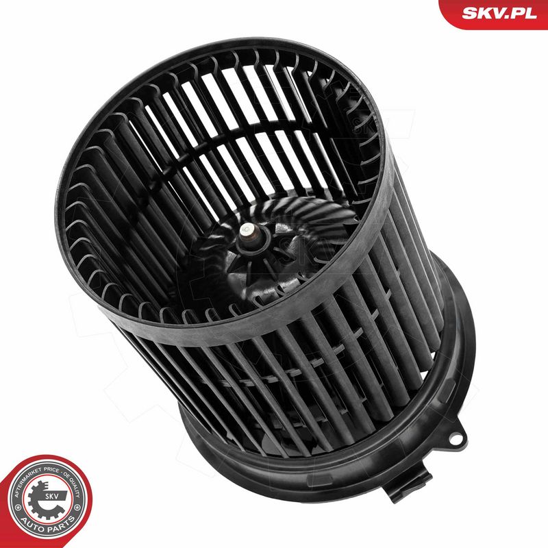 Salongipuhur, ESEN SKV...