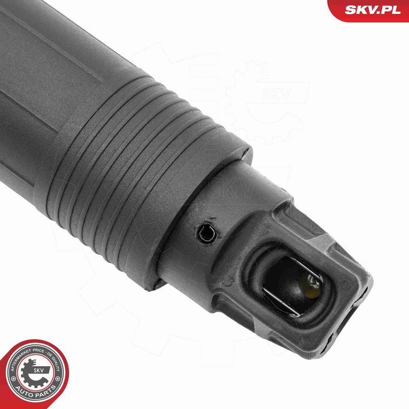 ESEN SKV 52SKV238 Electric Motor, tailgate