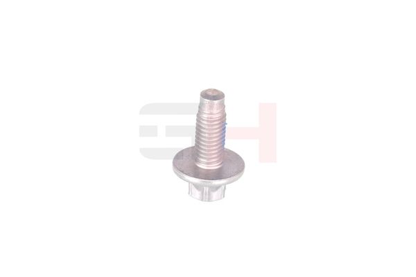 Vedruamordi tugilaager, GH GH-393311