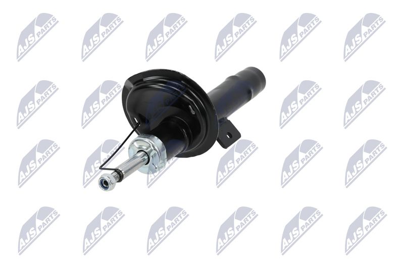 Amort, NTY A-CT-020