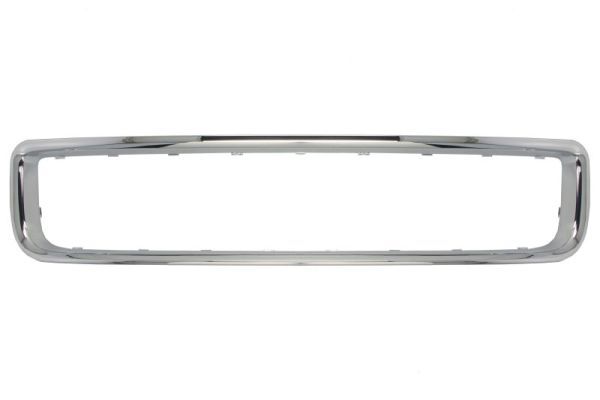 BLIC 5513-00-9585920P - Trim/Protection Strip, radiator grille