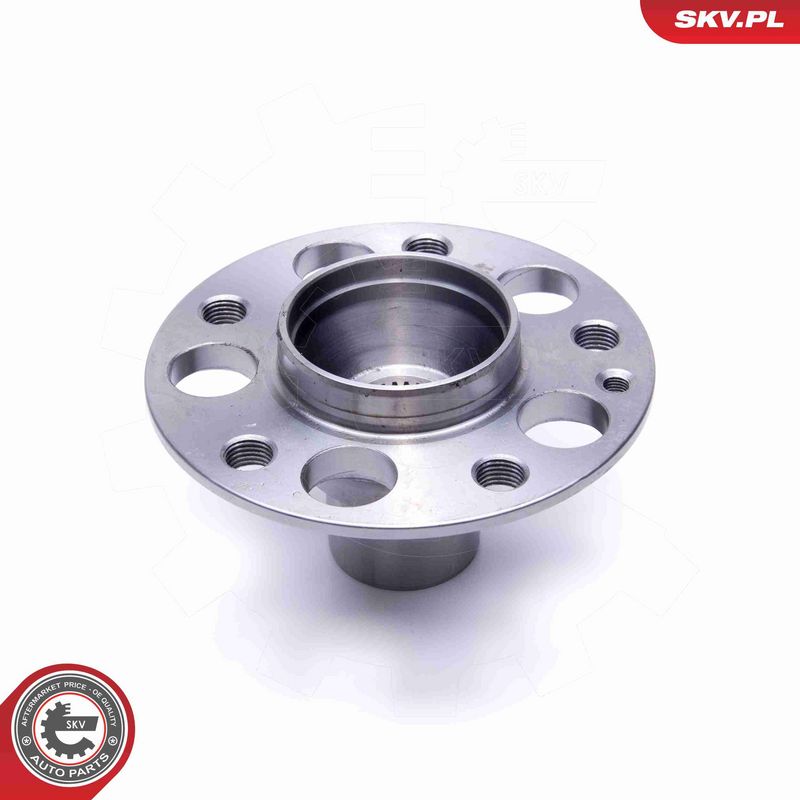 ESEN SKV 29SKV504 Wheel Bearing Kit