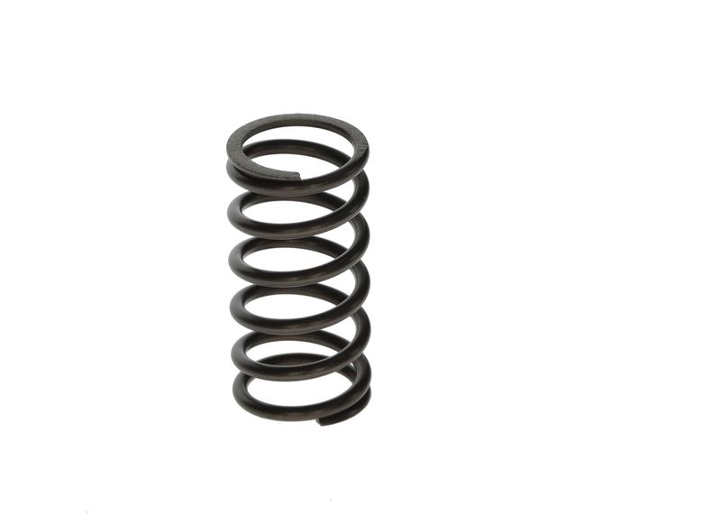 BOSCH F00N201853 Spring