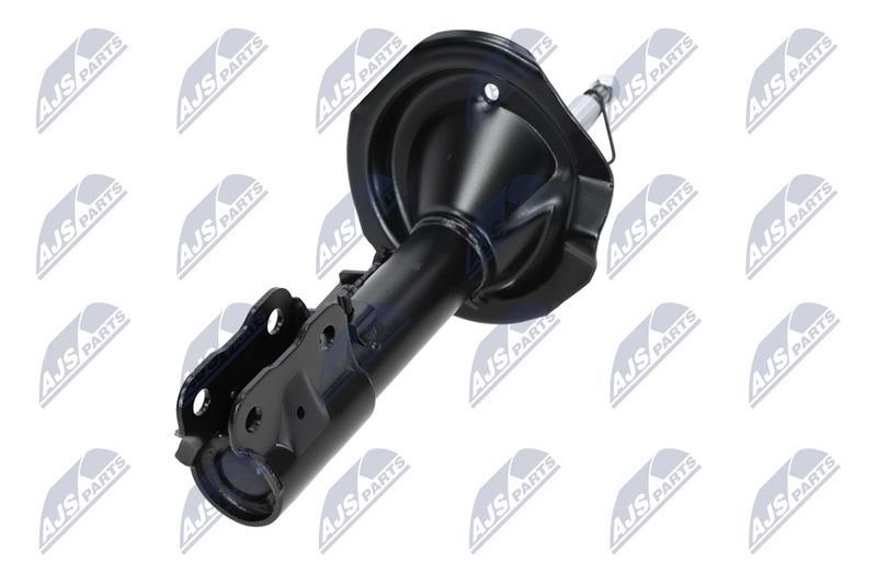 Amort, NTY A-MS-016