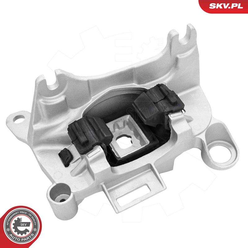 Paigutus, Mootor, ESEN SKV 75SKV169