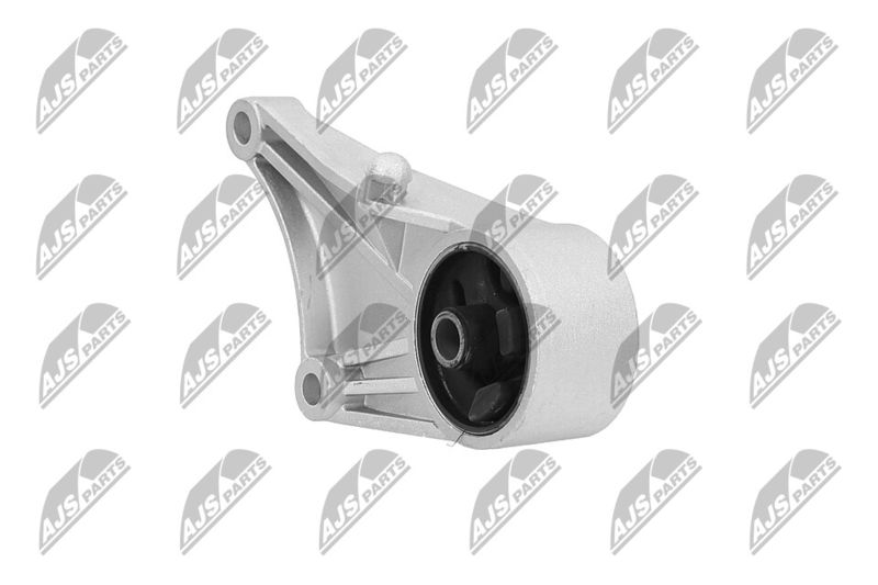 Paigutus, Mootor, NTY ZPS-PL-012