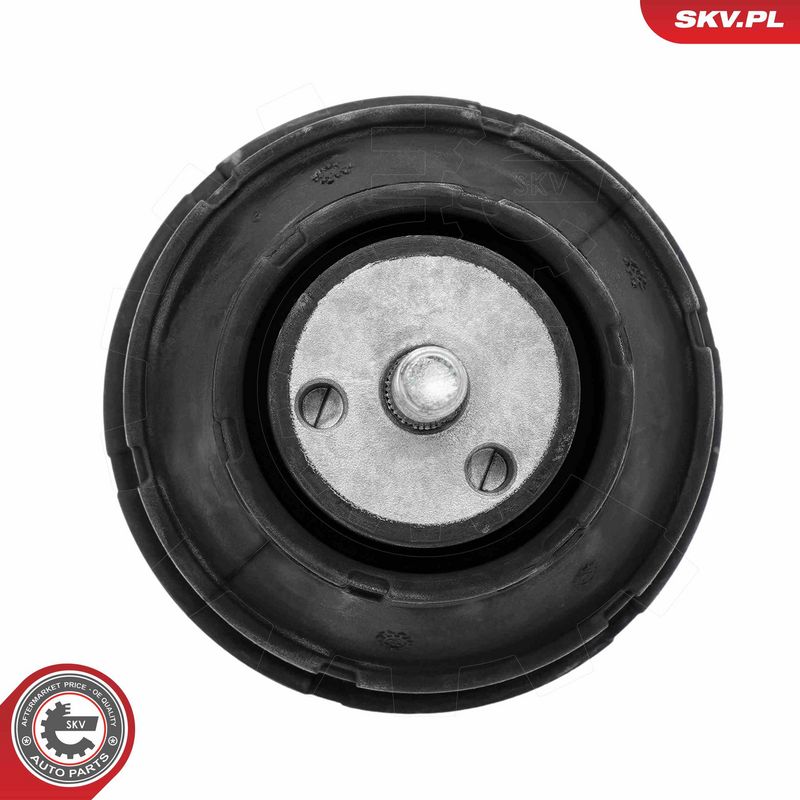 Paigutus, Mootor, ESEN SKV 75SKV151