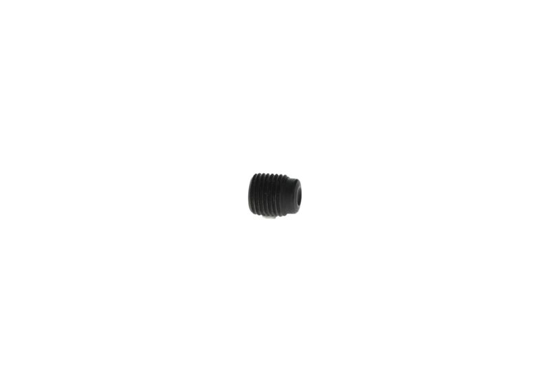 Surub F 00N 201 507 BOSCH