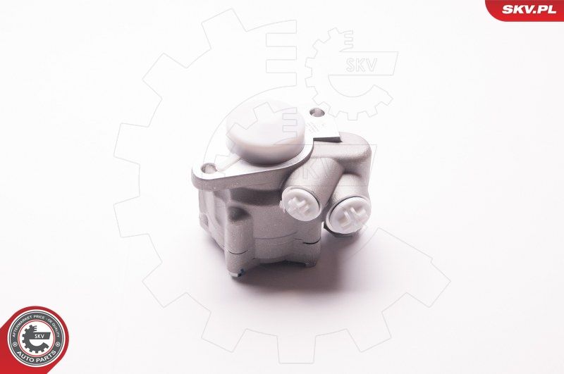 ESEN SKV 1SKV0010 Hydraulic Pump, steering